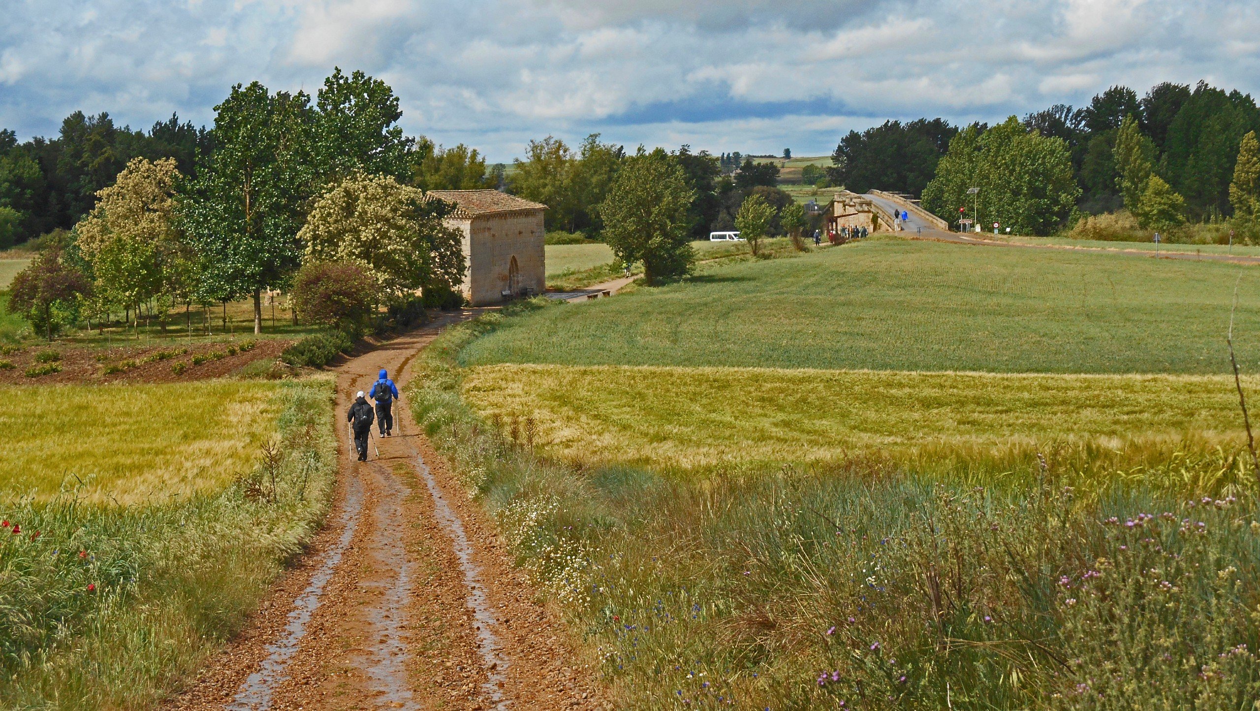 Walking the last 100 km of Way of St. James Tour