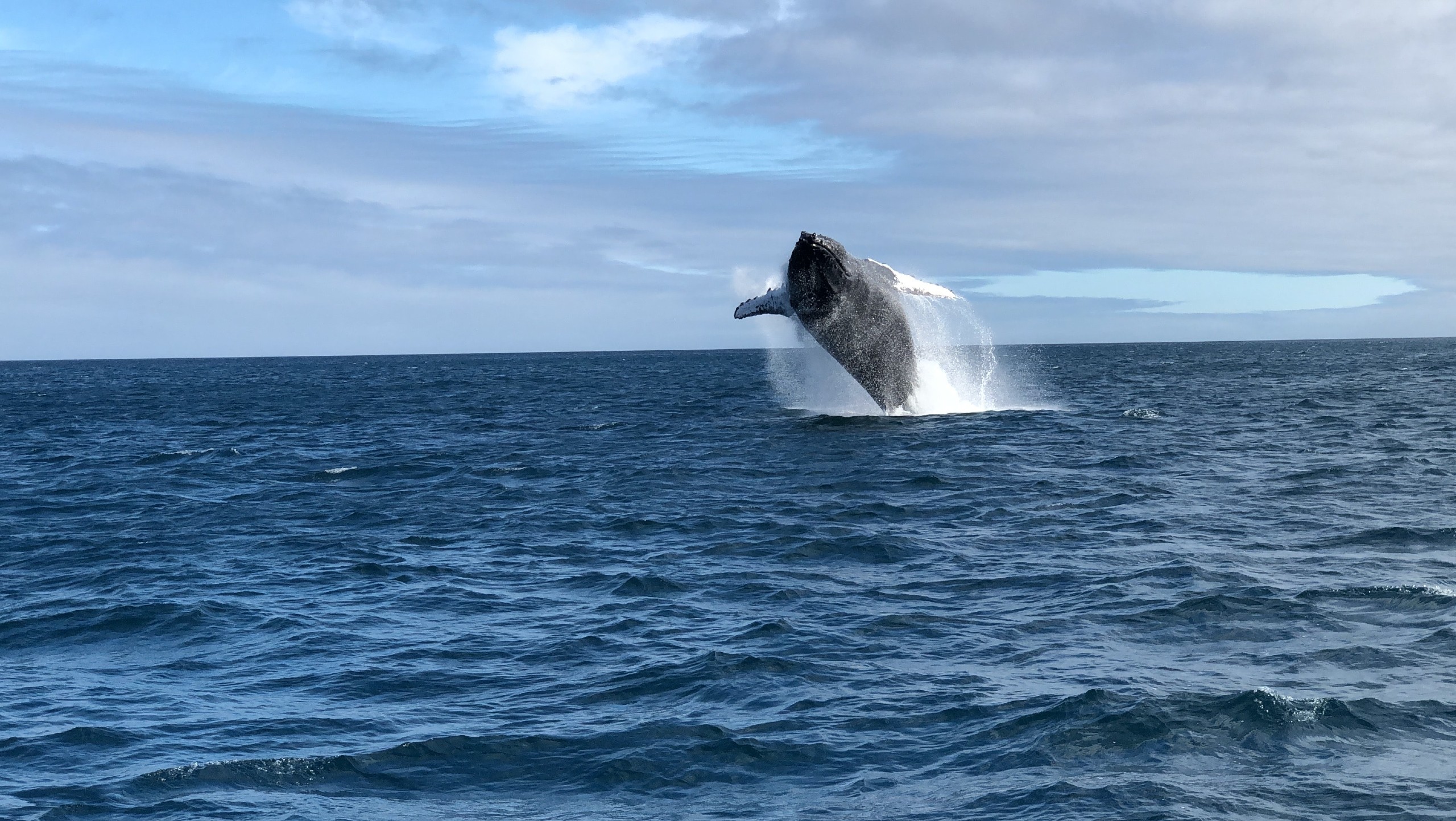 Galapagos Island Hopping Adventure