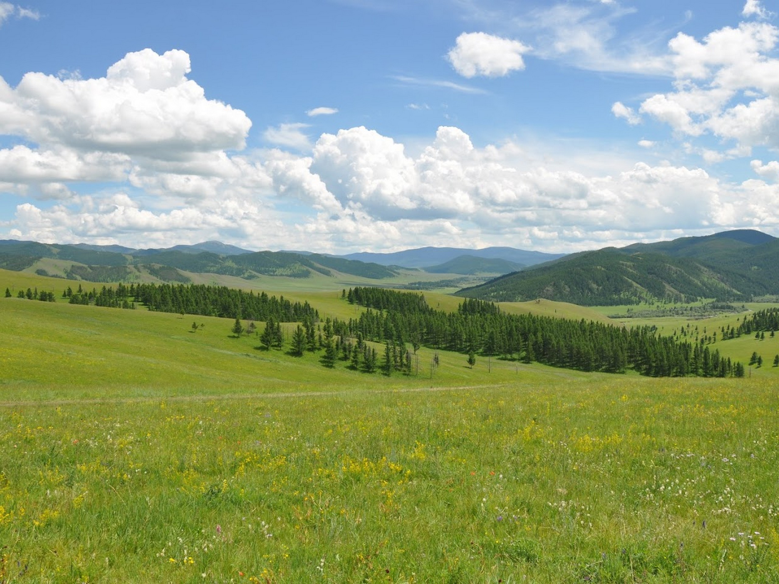 Khangai Mountain Traverse, Mongolia