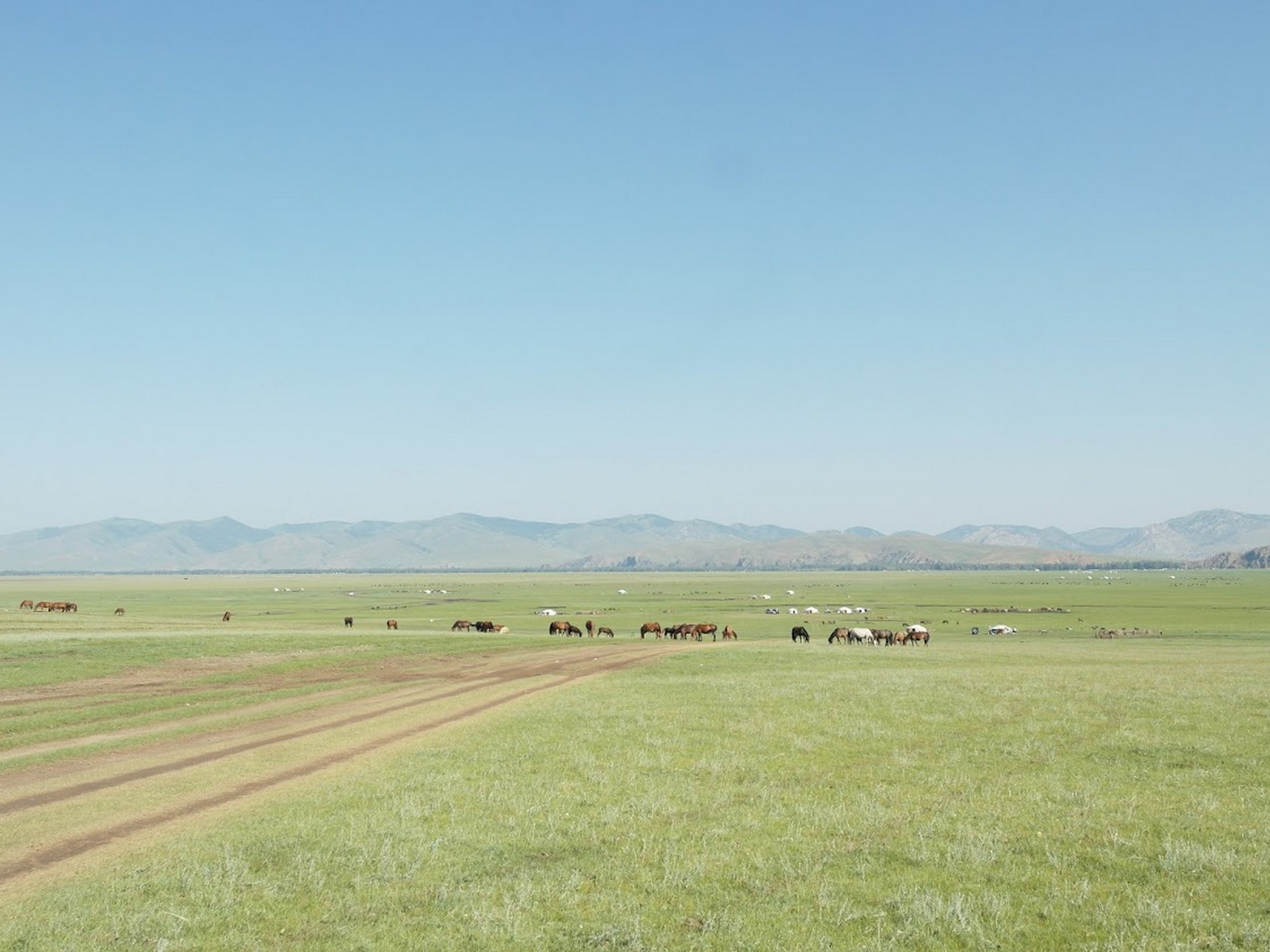 Khangai Mountain Traverse, Mongolia