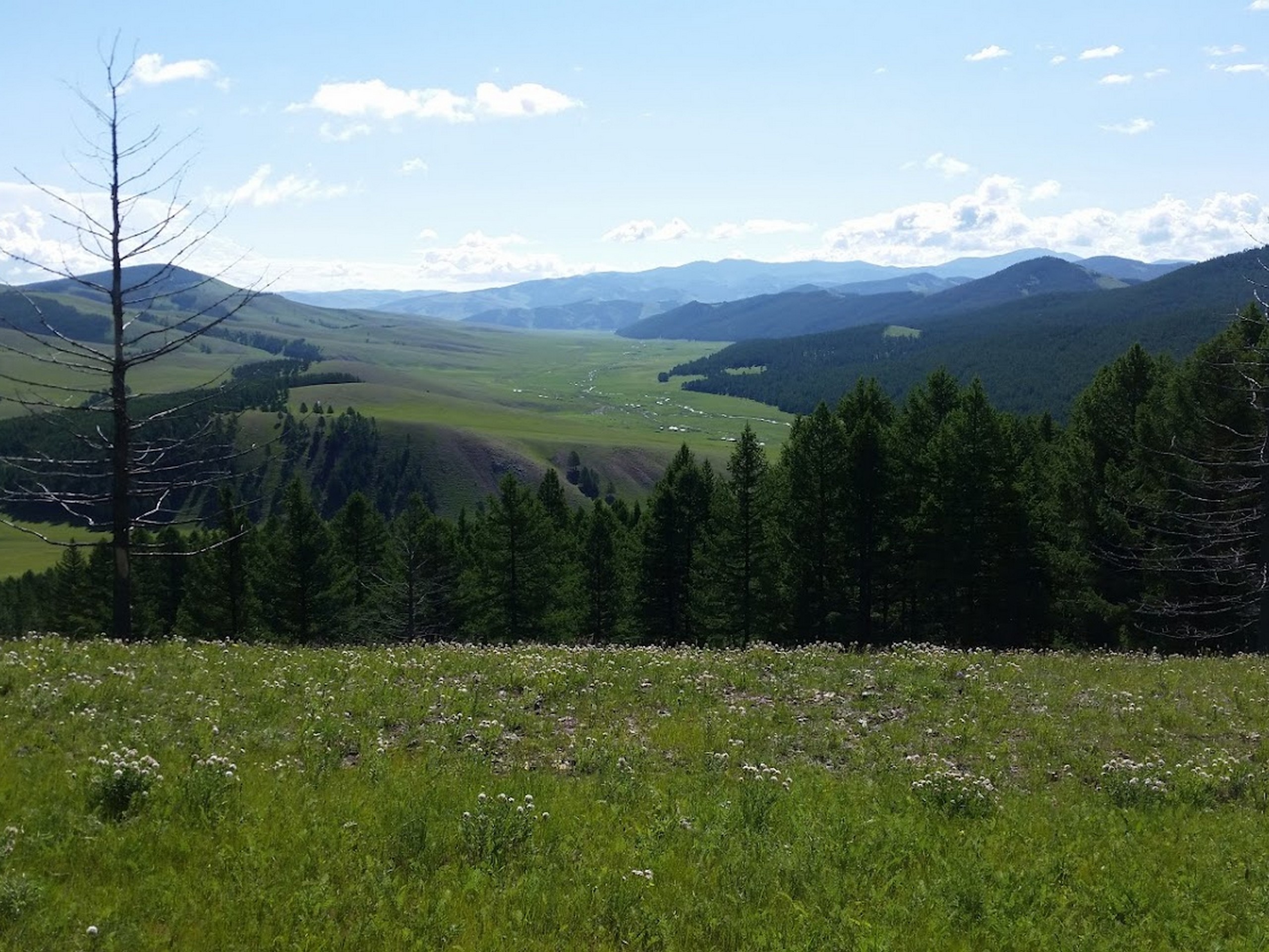 Khangai Mountain Traverse, Mongolia