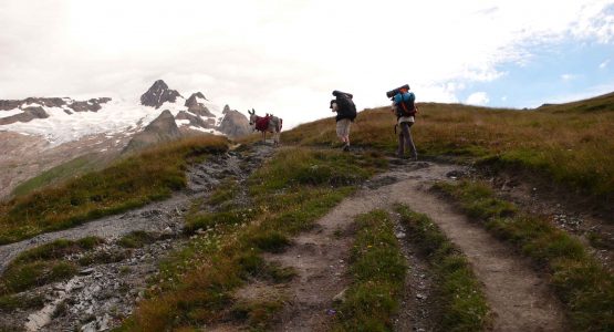 Guided Tour du Mont-Blanc in Hotels