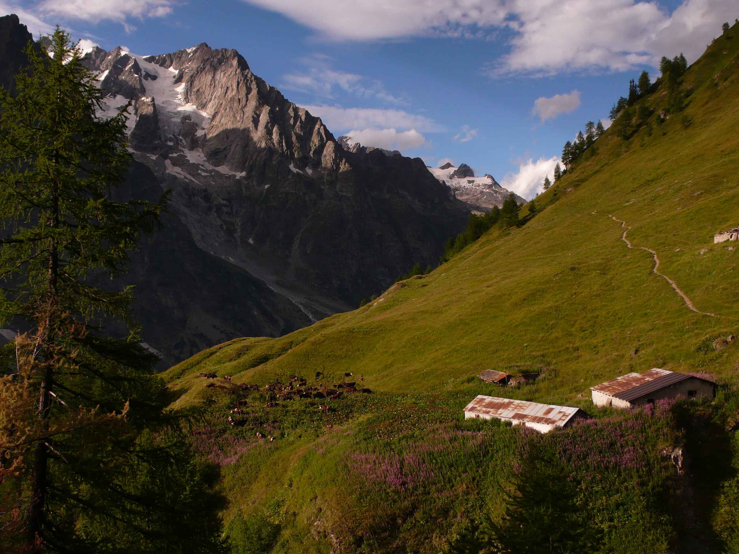 Guided Tour du Mont Blanc in Mountain Huts - 06