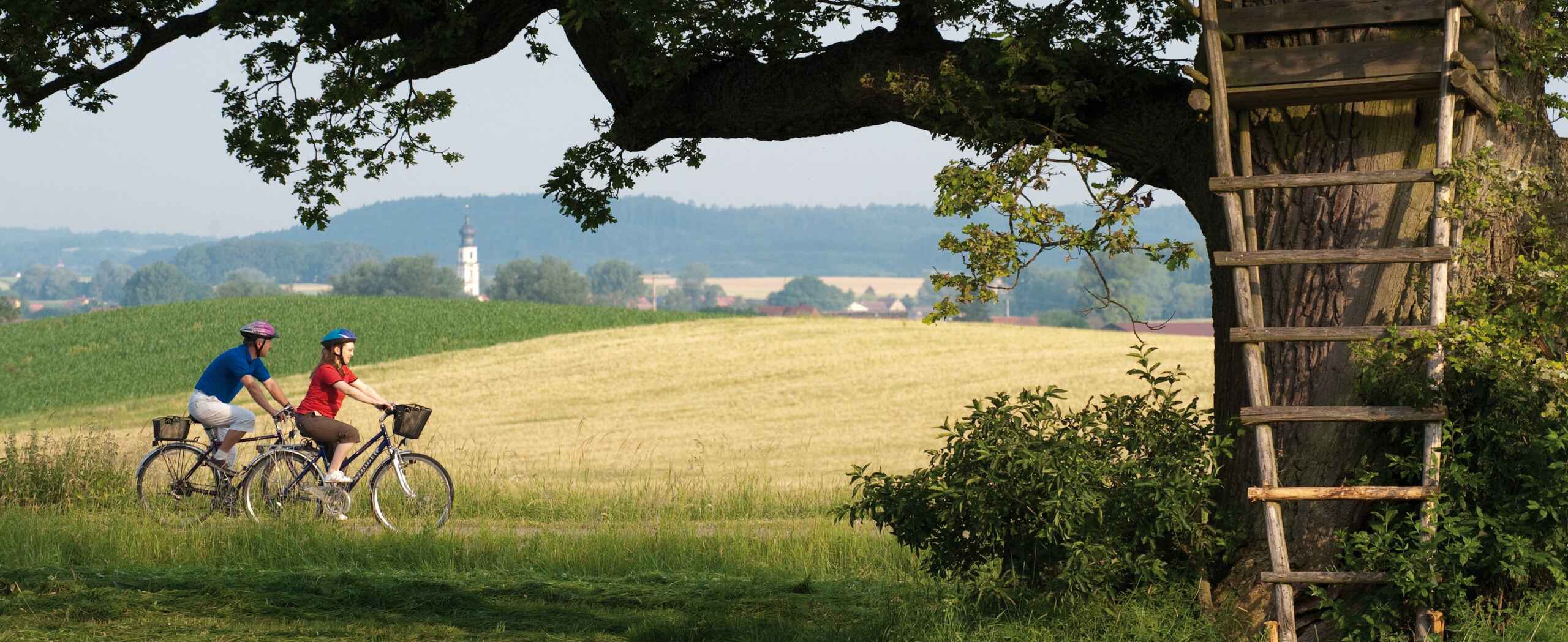 Main River Bike Tour: Würzburg to Frankfurt