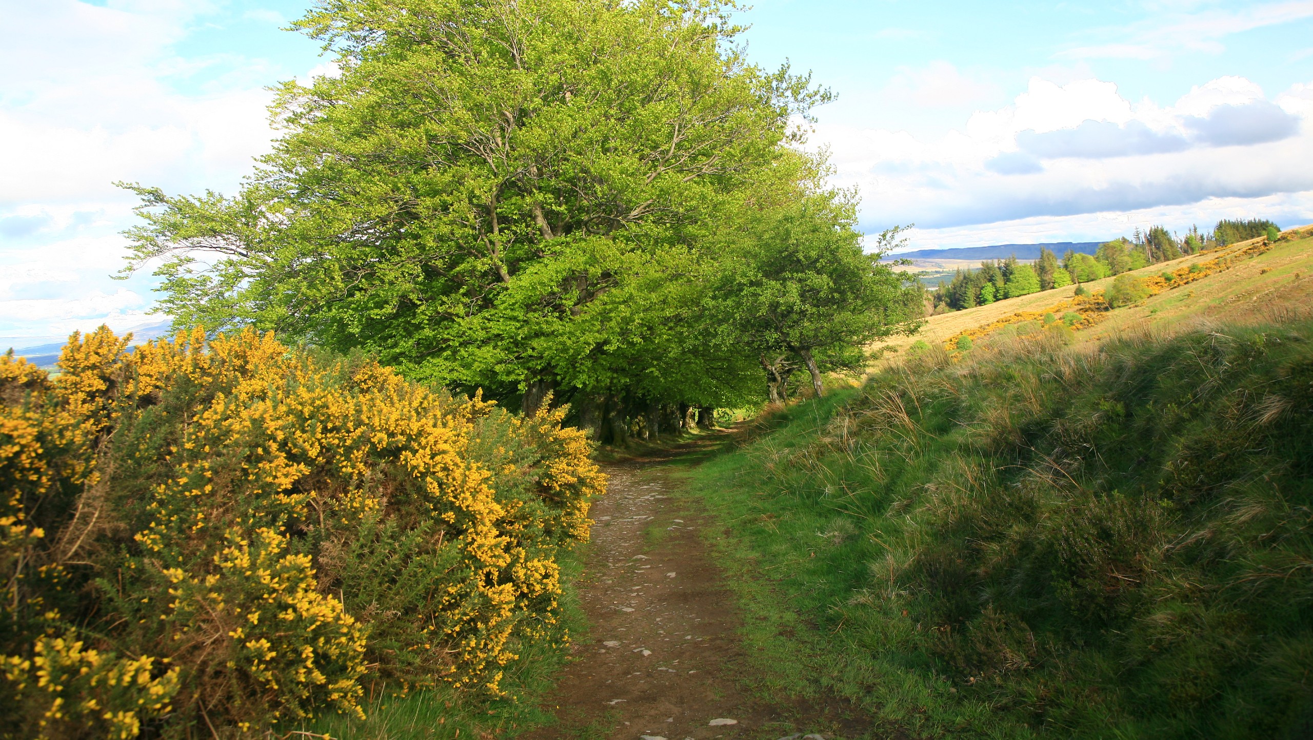 John Muir Way Walking Tour