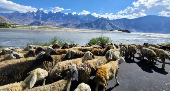 Nangma Valley Trek