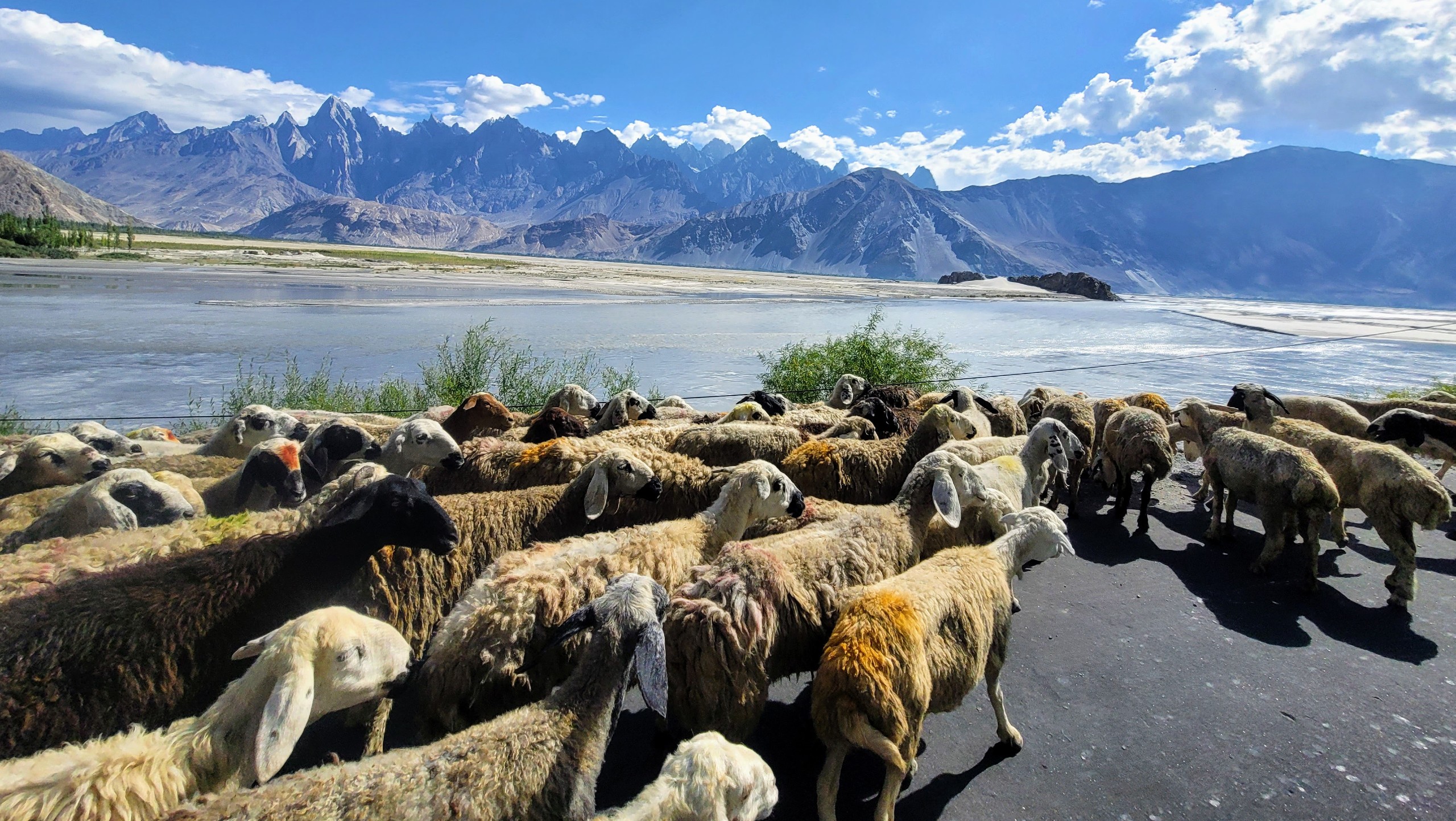 Nangma Valley Trek