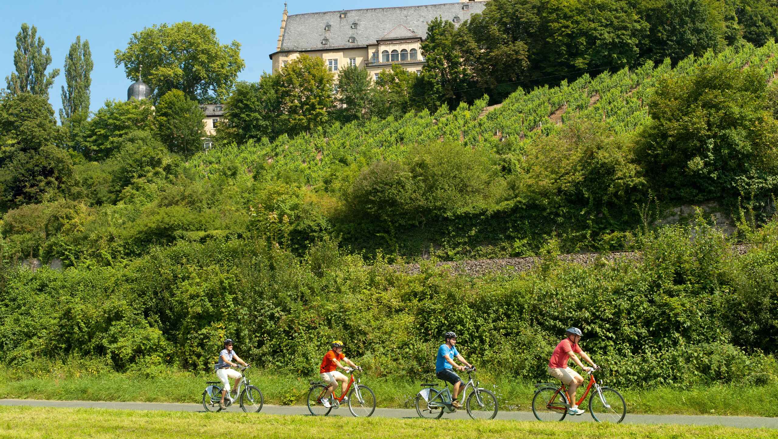 Main River Bike Tour: Würzburg to Frankfurt