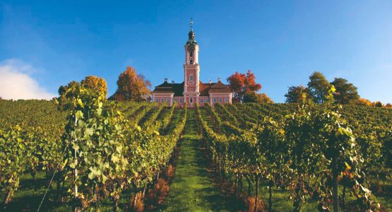 Lake Constance Bike Tour