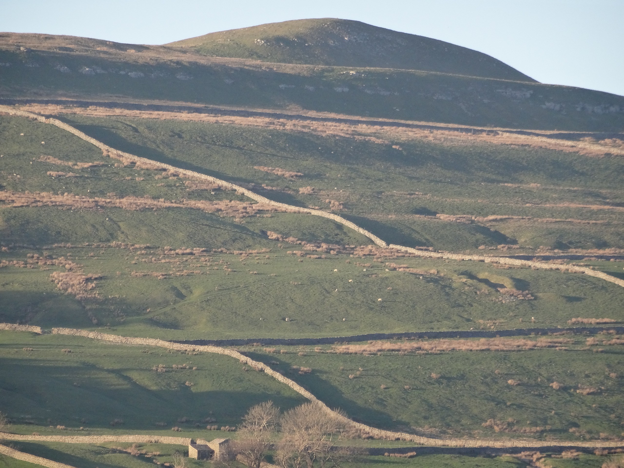 Addlebrough Fell above Askrigg (c)John Millen