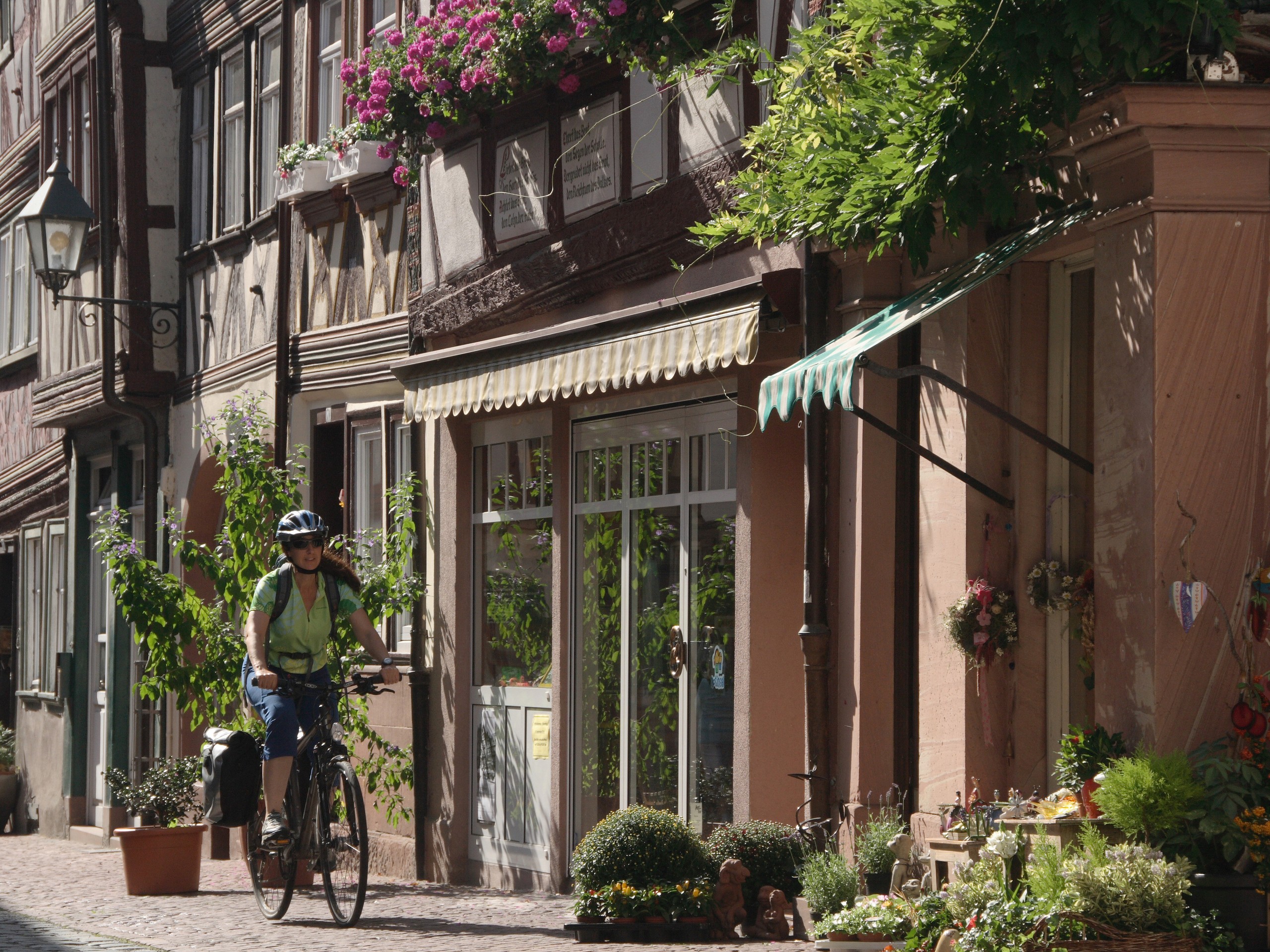 Fränkisches Weinland Main Radweg