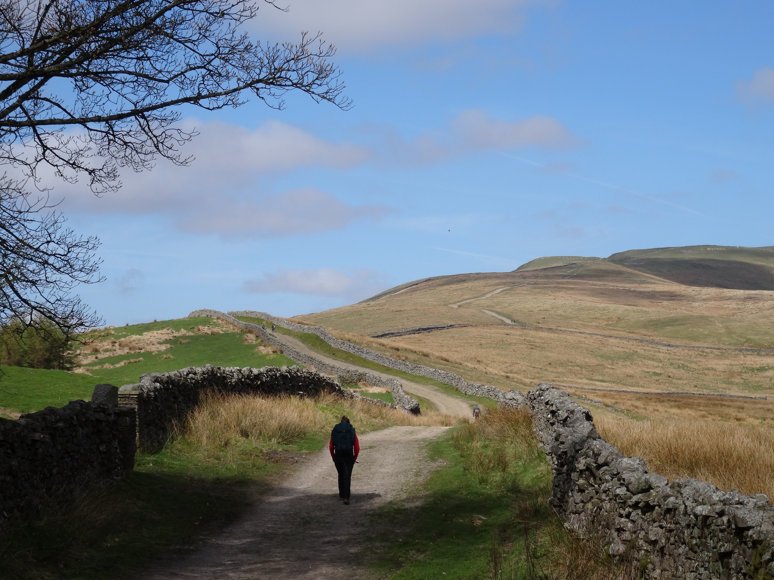 Ascending Great Shunner Fell (c)John Millen