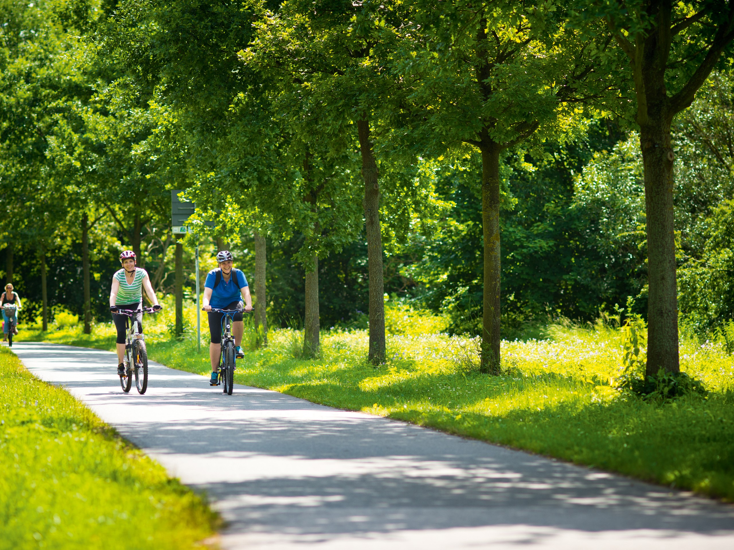 Städteregion Nürnberg Fürth Regnitz Radweg bei Fürth