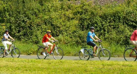 Main River Bike Tour: Würzburg to Frankfurt