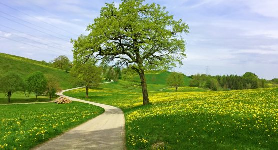 Bavarian Lakes Cycling Tour