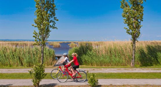 Lake Neusiedl Bike Tour