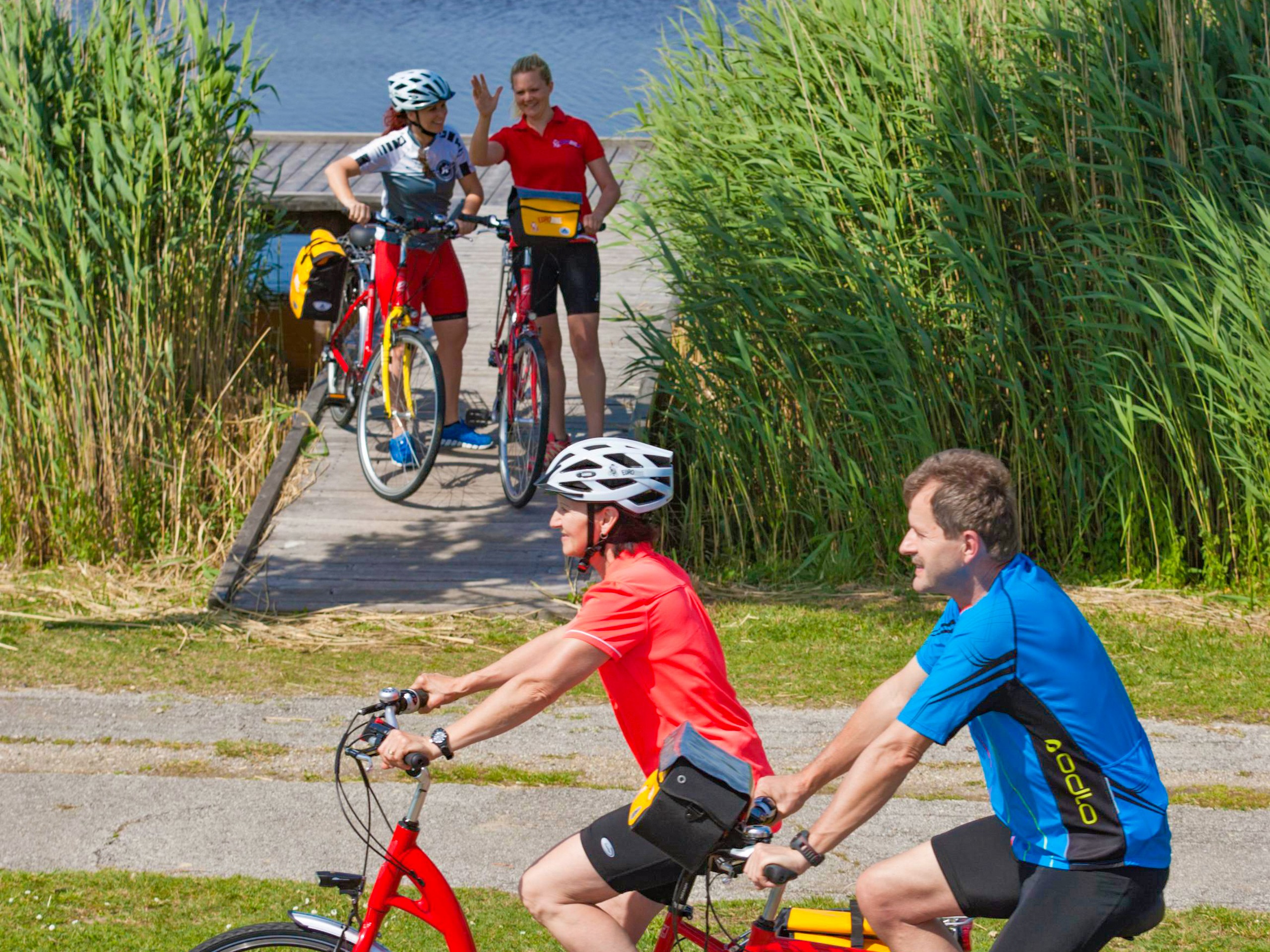 Self-guided biking near Lake Neusiedl in Austria