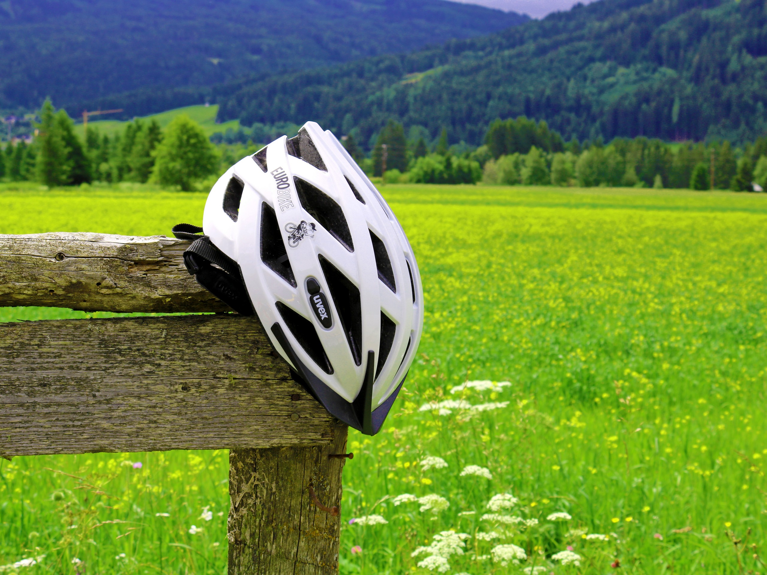 Cycling helmet and lush green pasture in Austria