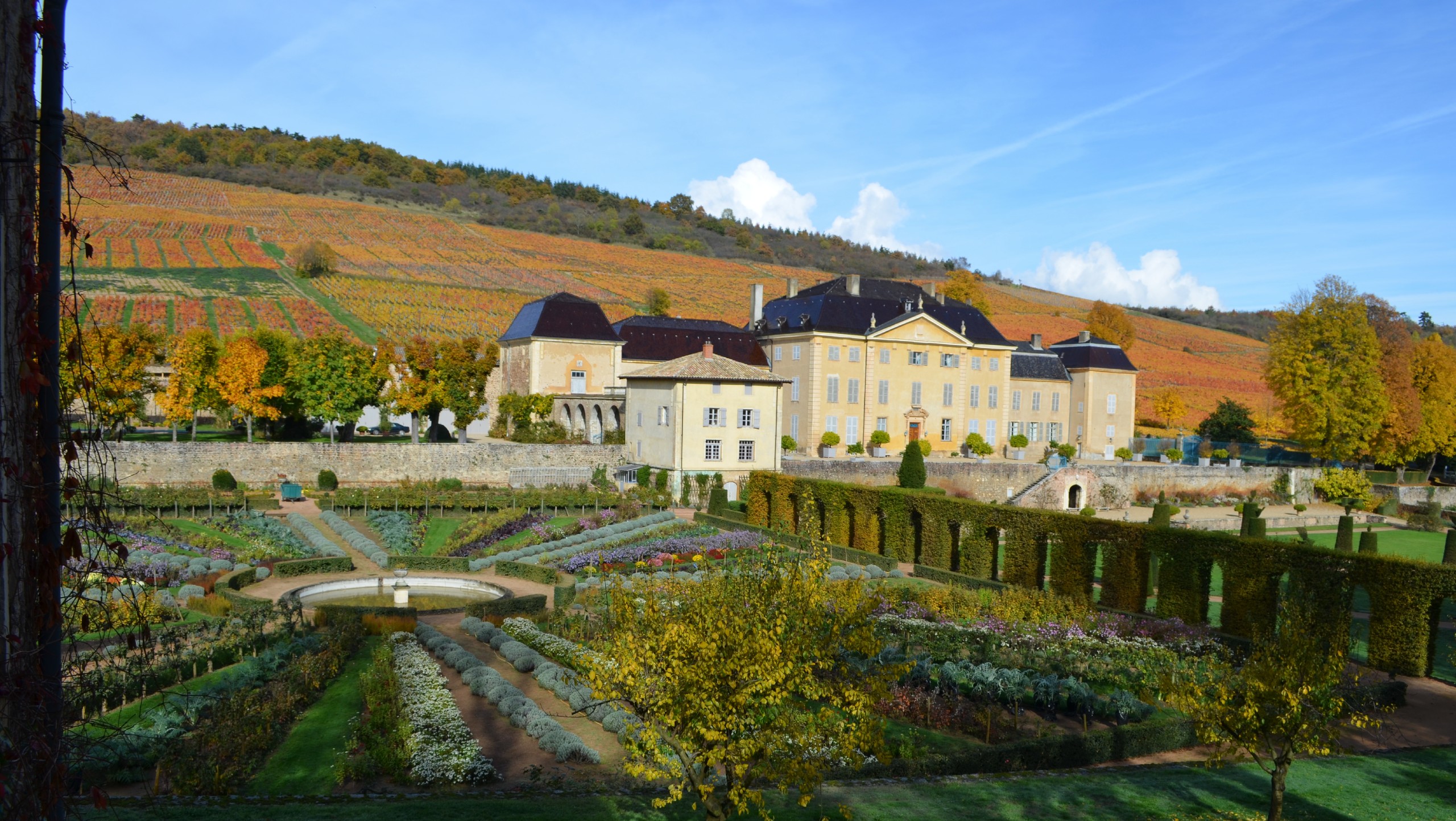 Beaujolais by Bike