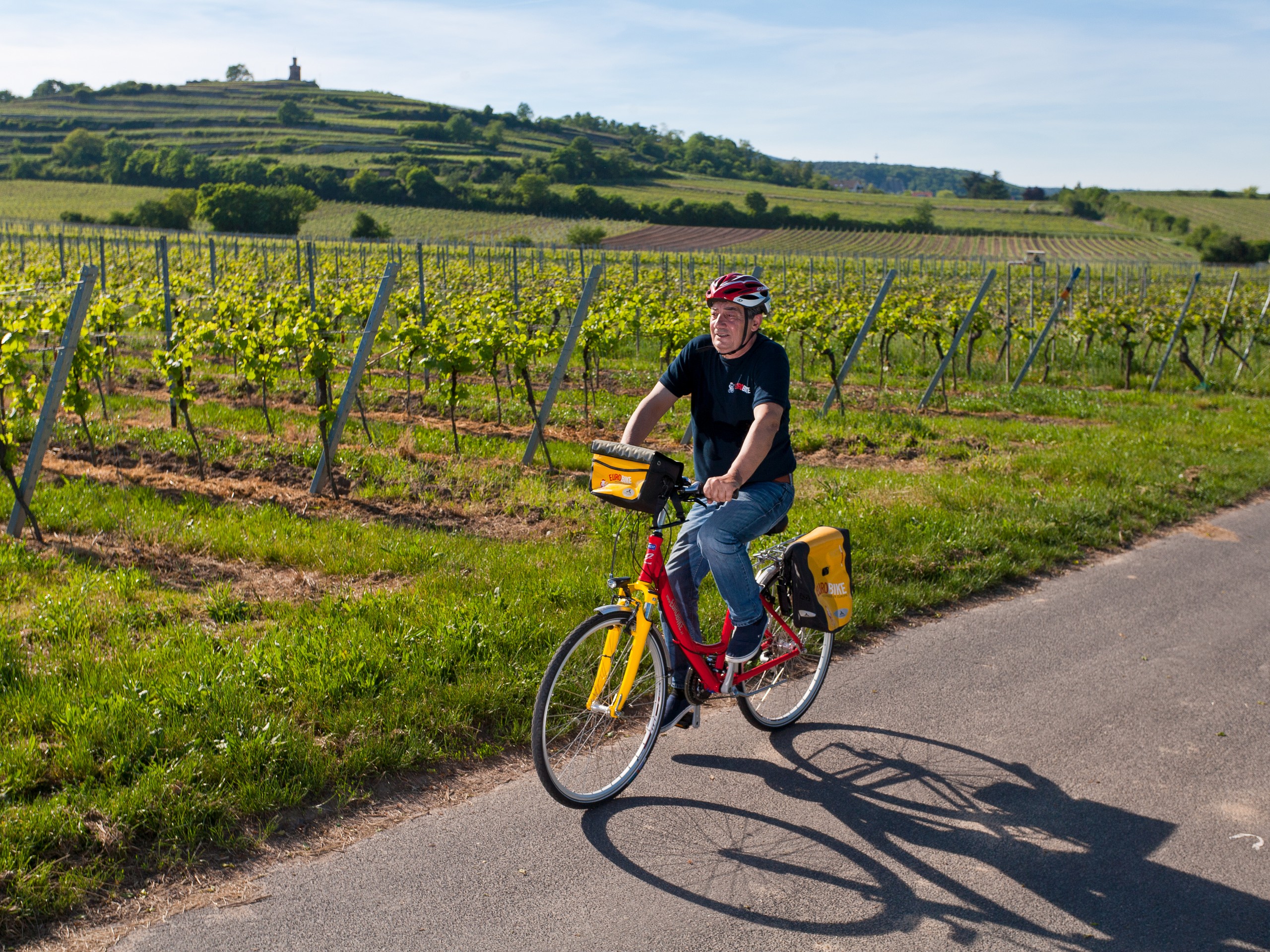 Biker cycling along the vineyards of Rhine