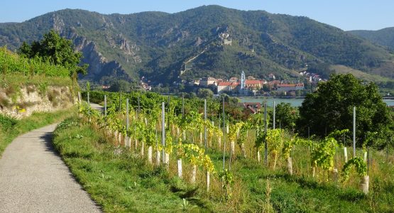 World Heritage Trail Wachau Walking Tour