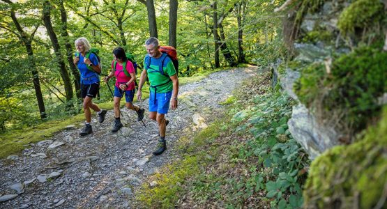 Magical Spessart Walking Tour