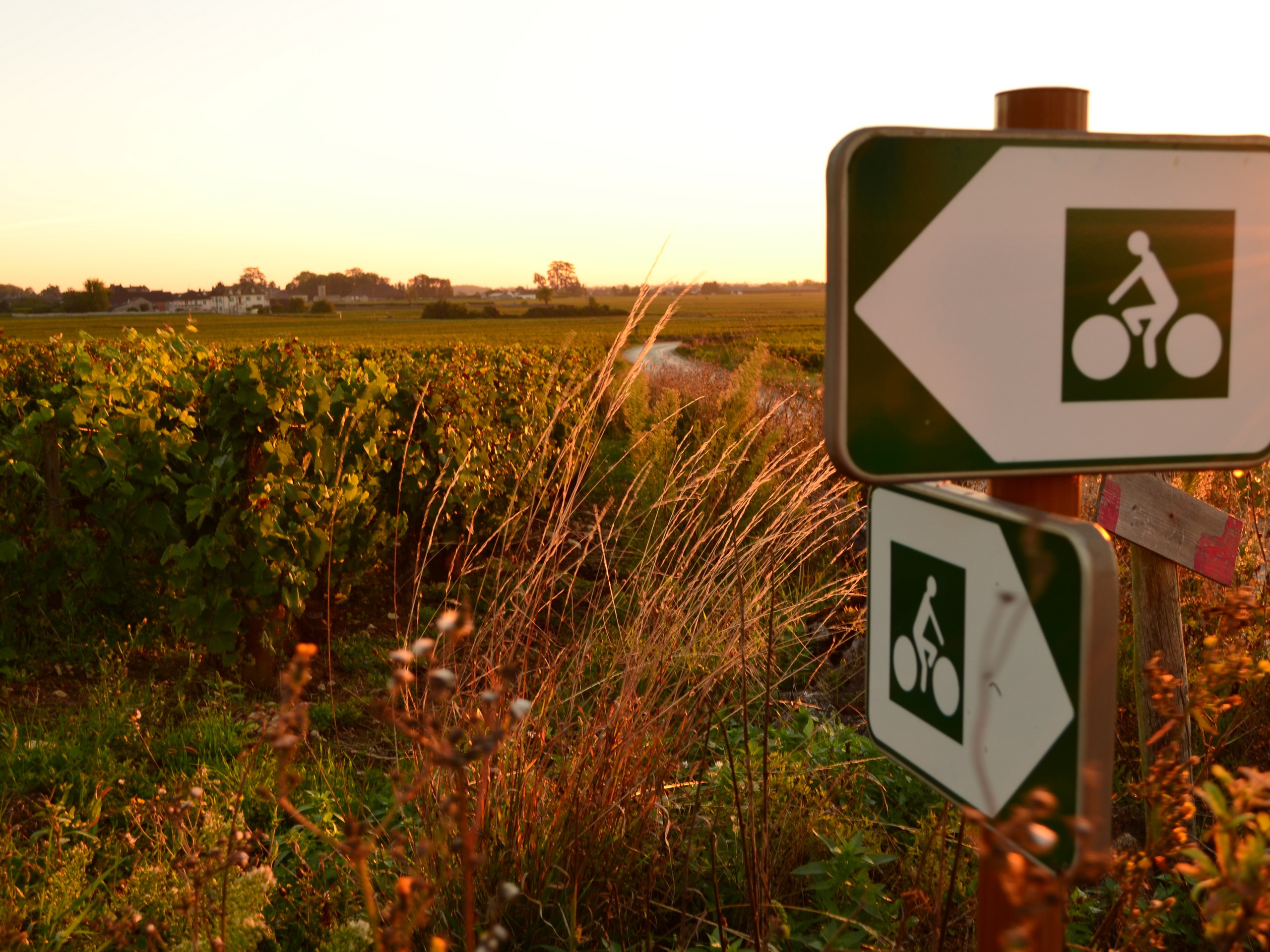 Cycling in Beaune region, Burgundy 49