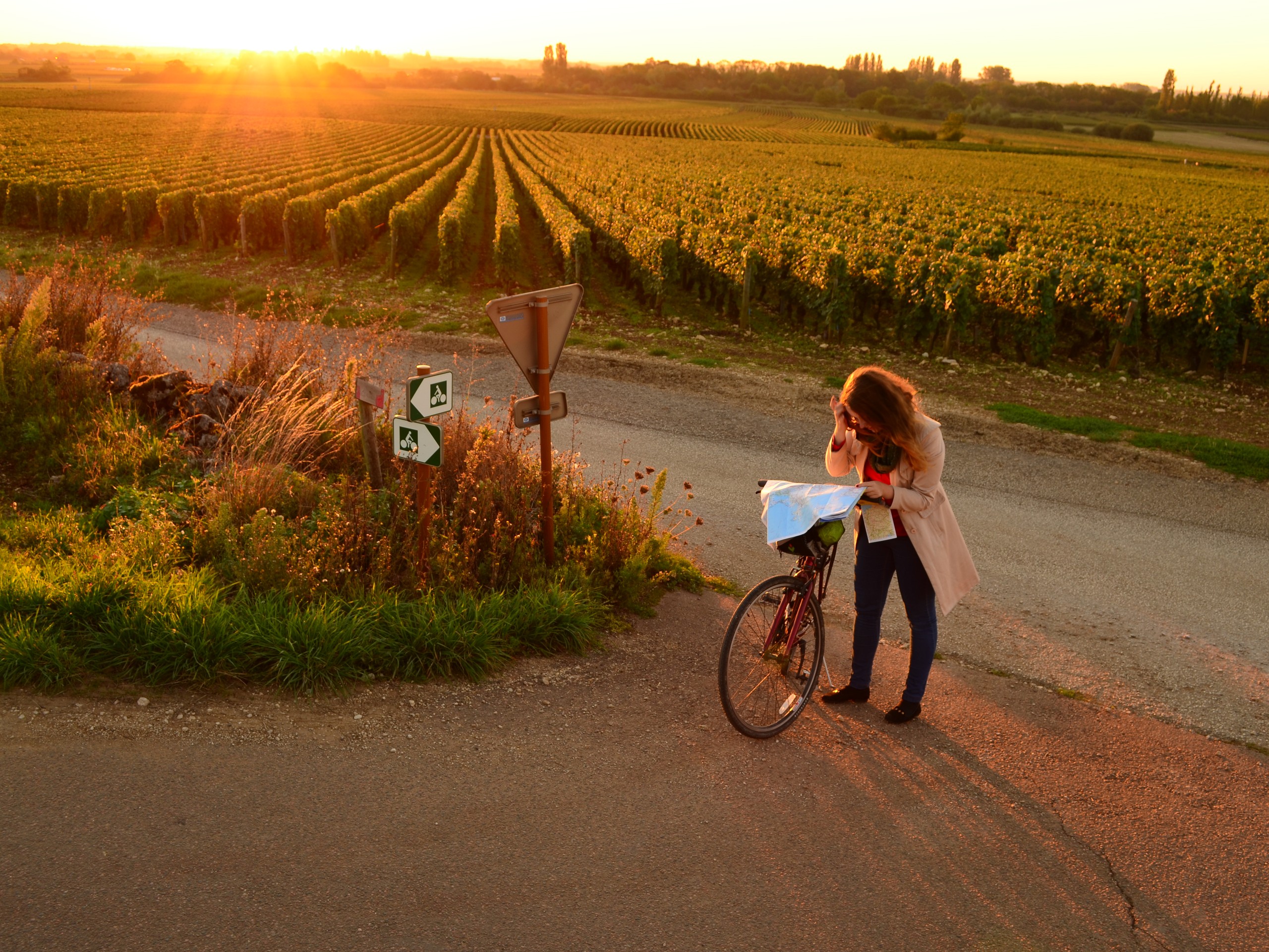 Self-guided Chablis Bike Tour in France 24