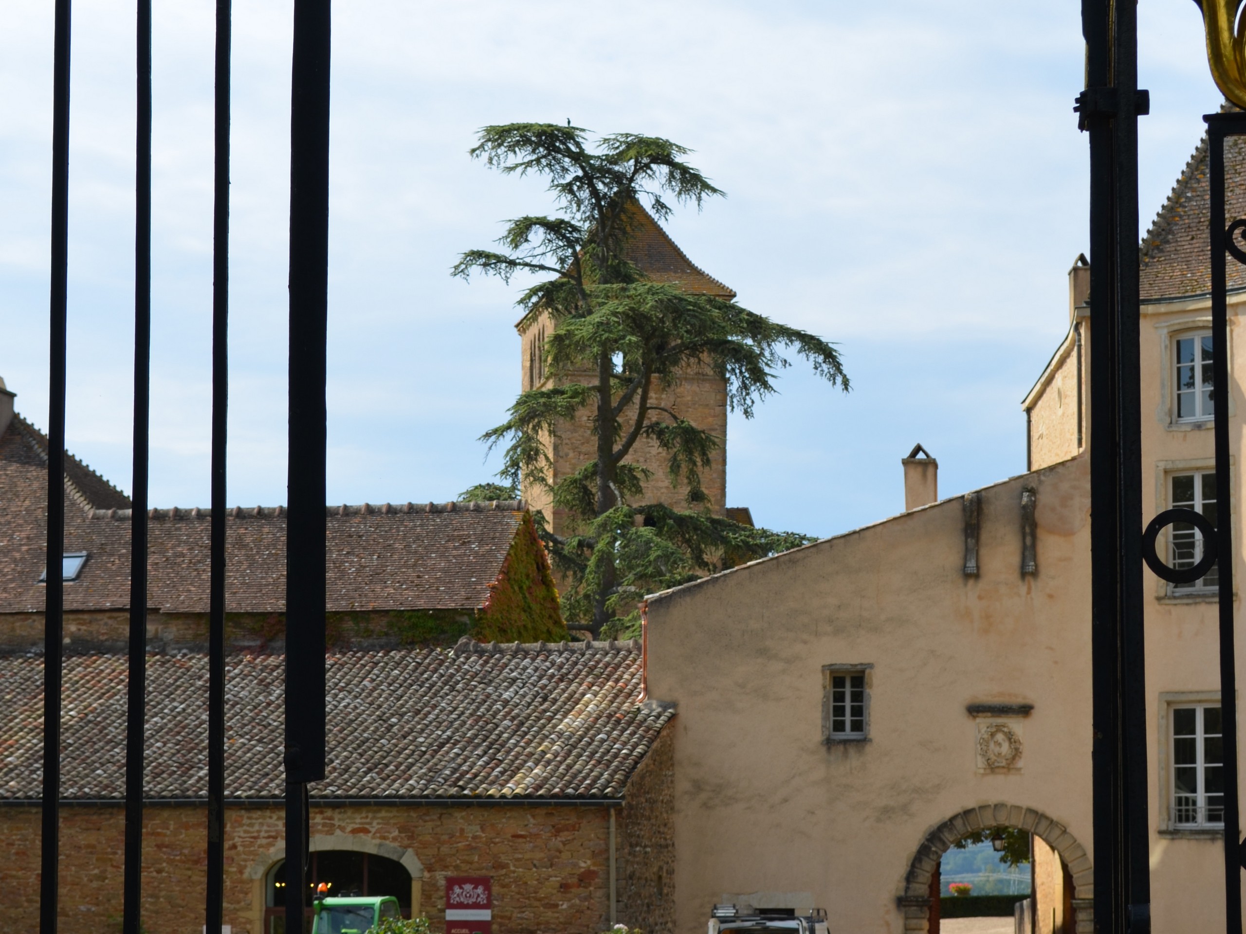 Cycling in Beaune region, Burgundy 28