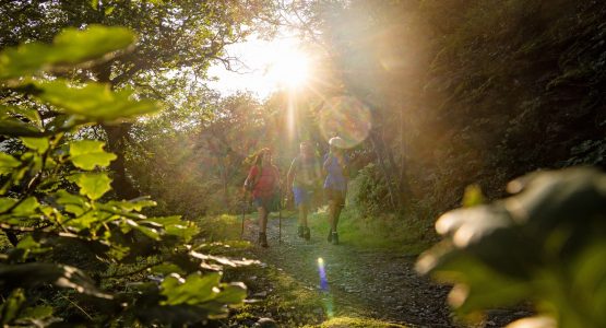 Walking the Magical Spessart region in Germany-1