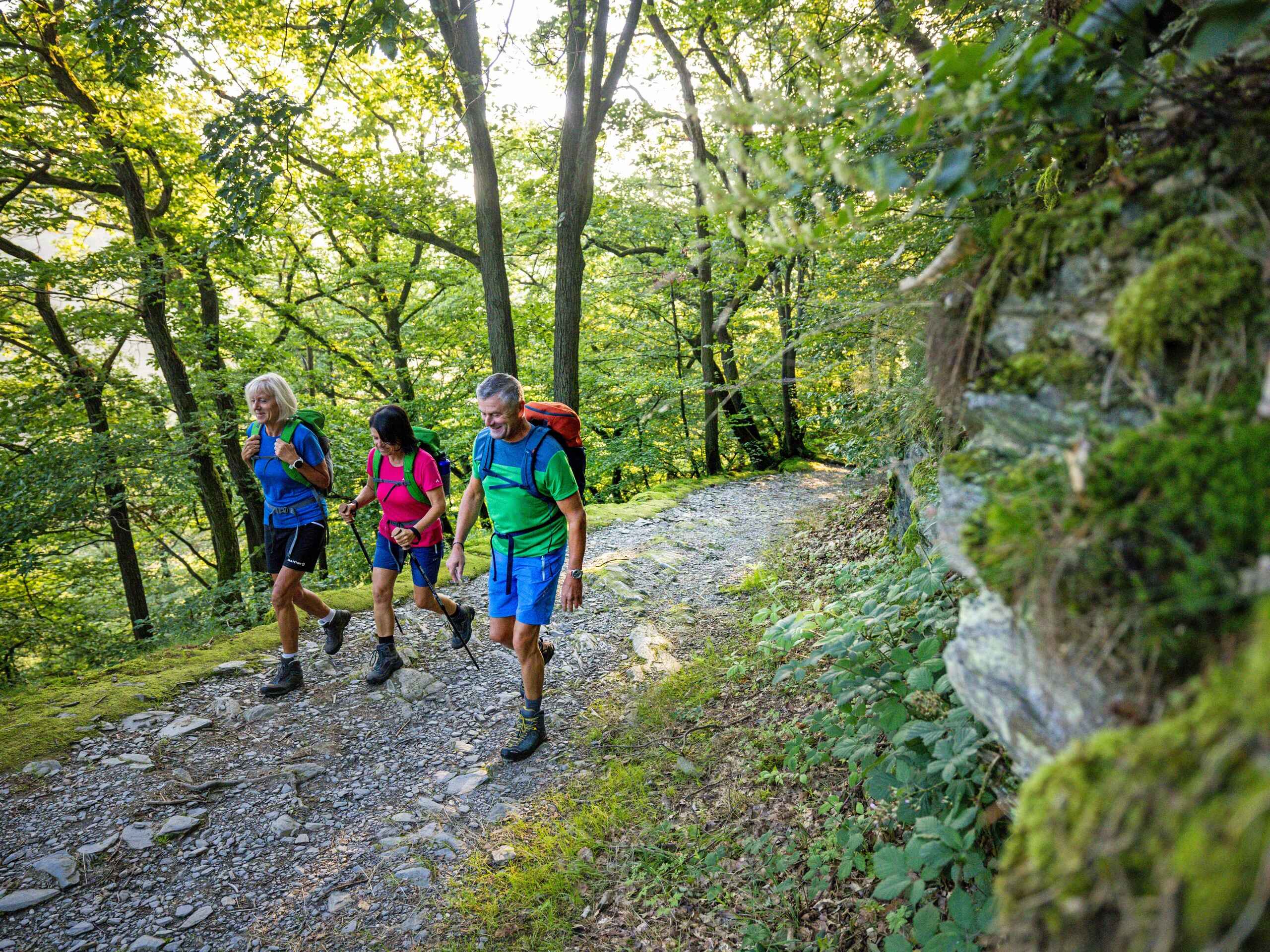 Walking the Magical Spessart region in Germany-2