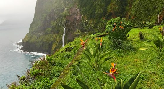 Madeira Circular Hiking Tour