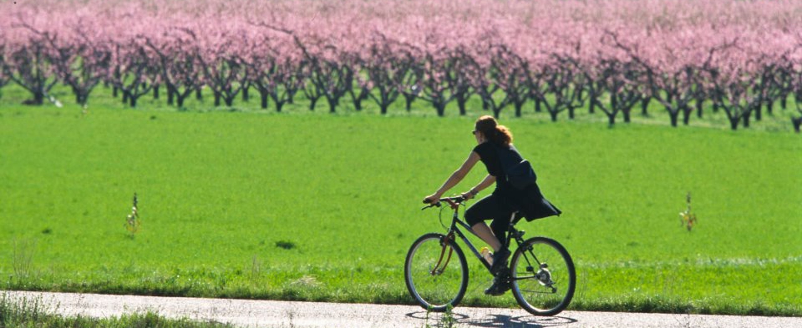 Self-guided Provence Biking Tour