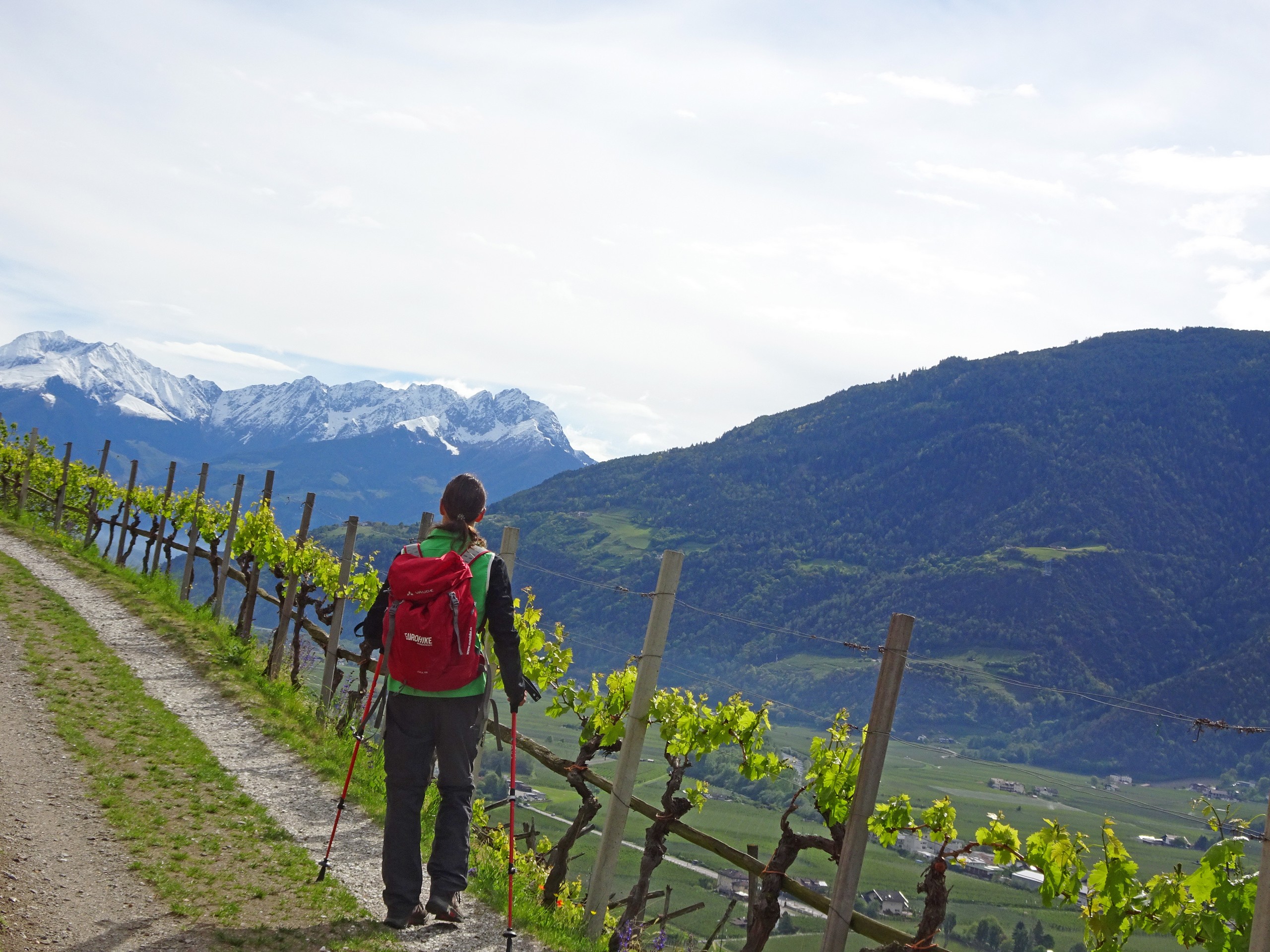 Alpine trails along the beautiful vineyards in South Tyrol