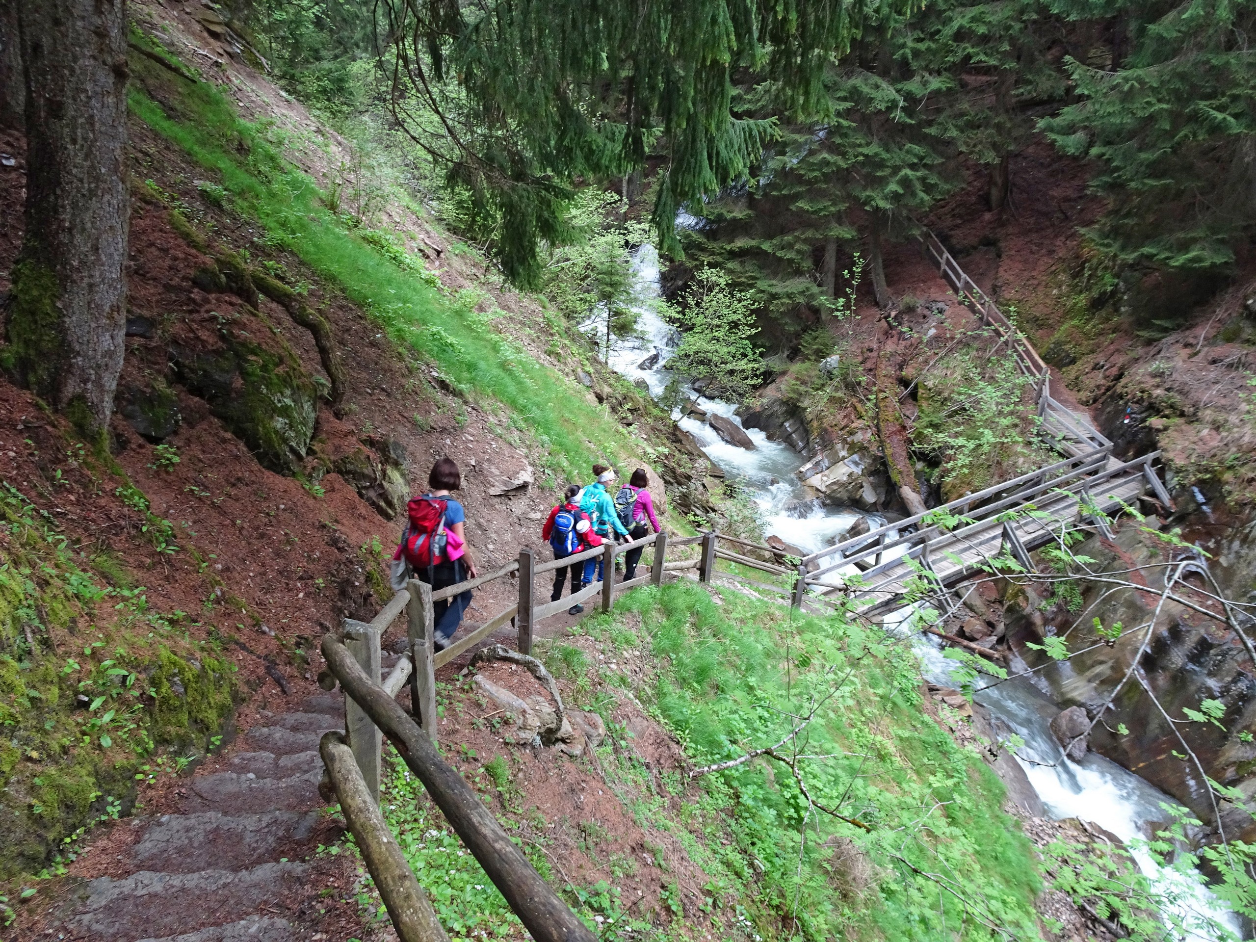 Group walking along the creek