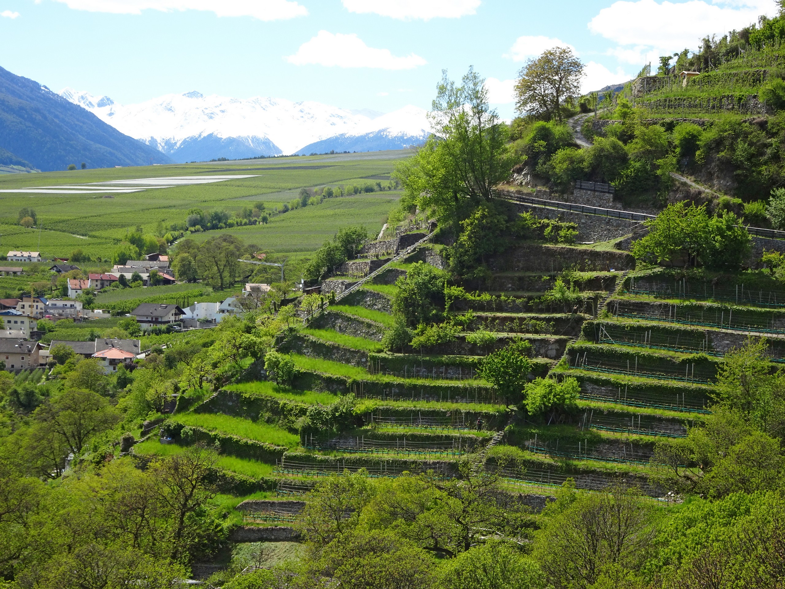 South Tyrol Via Claudia terraces