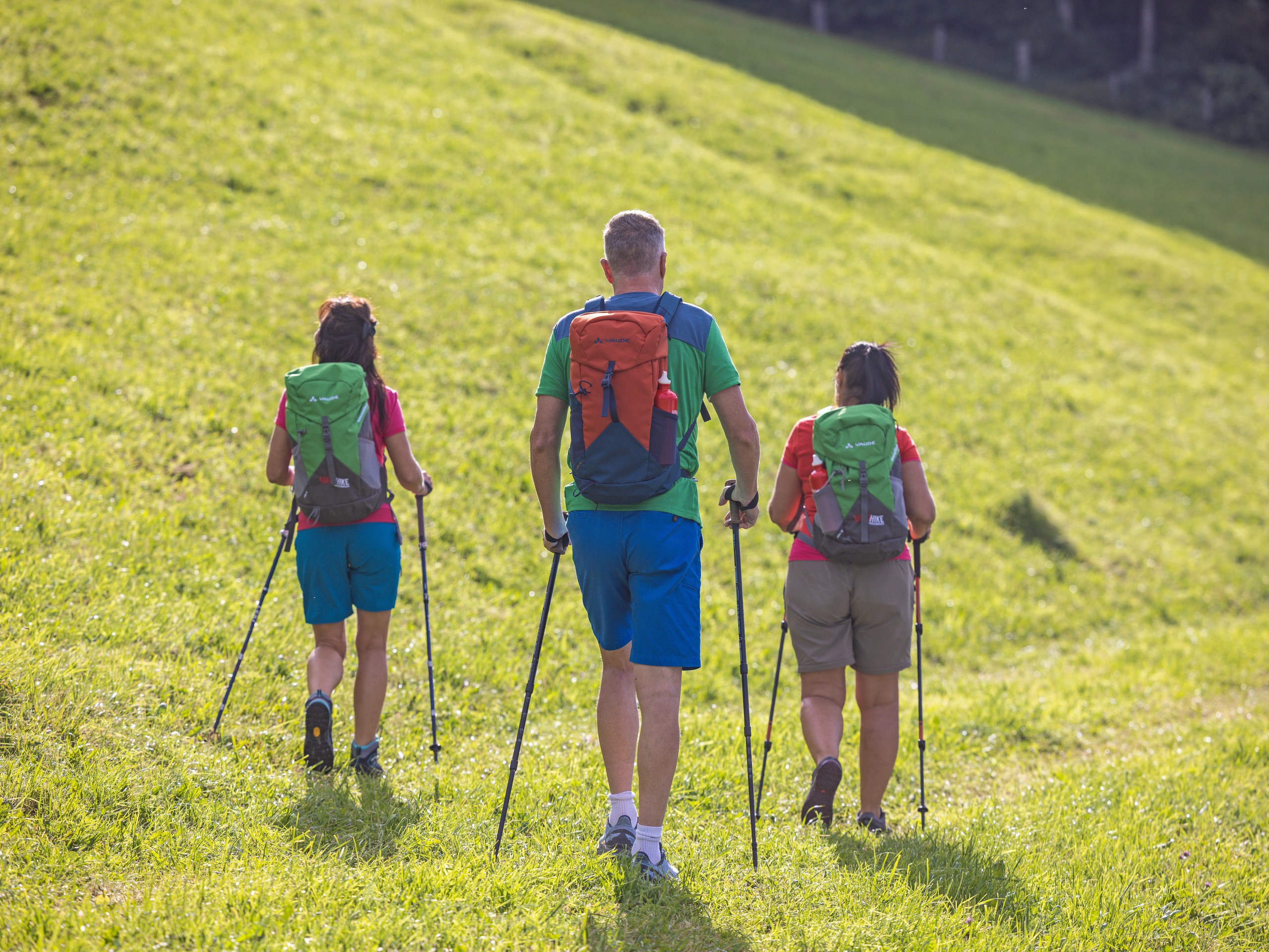 Walking the green meadows with family in Alps