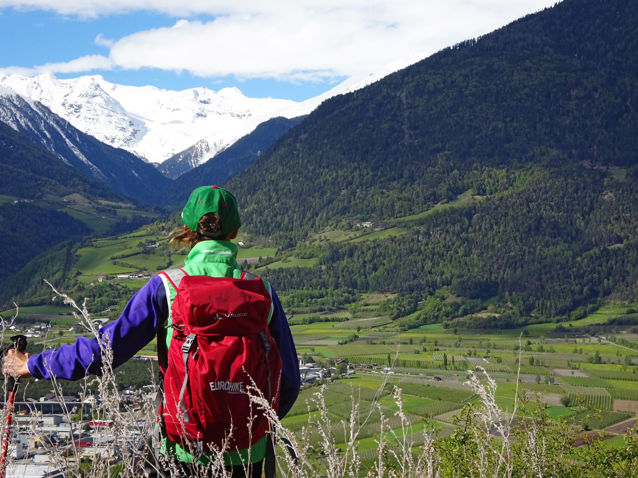 Hiker looking at the snowy peaks of Vinschgau region