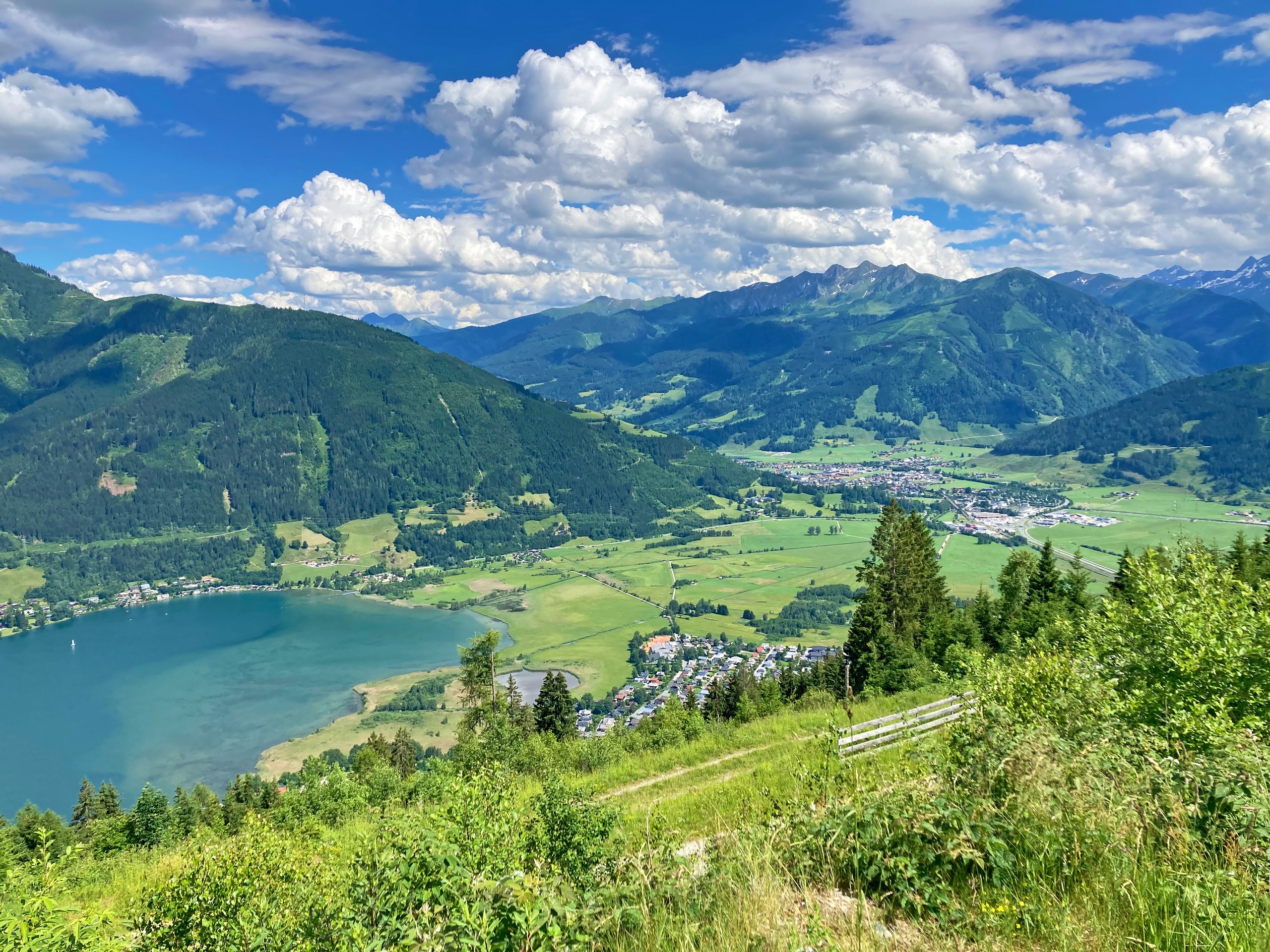 Lake and the meadows in Zell am See