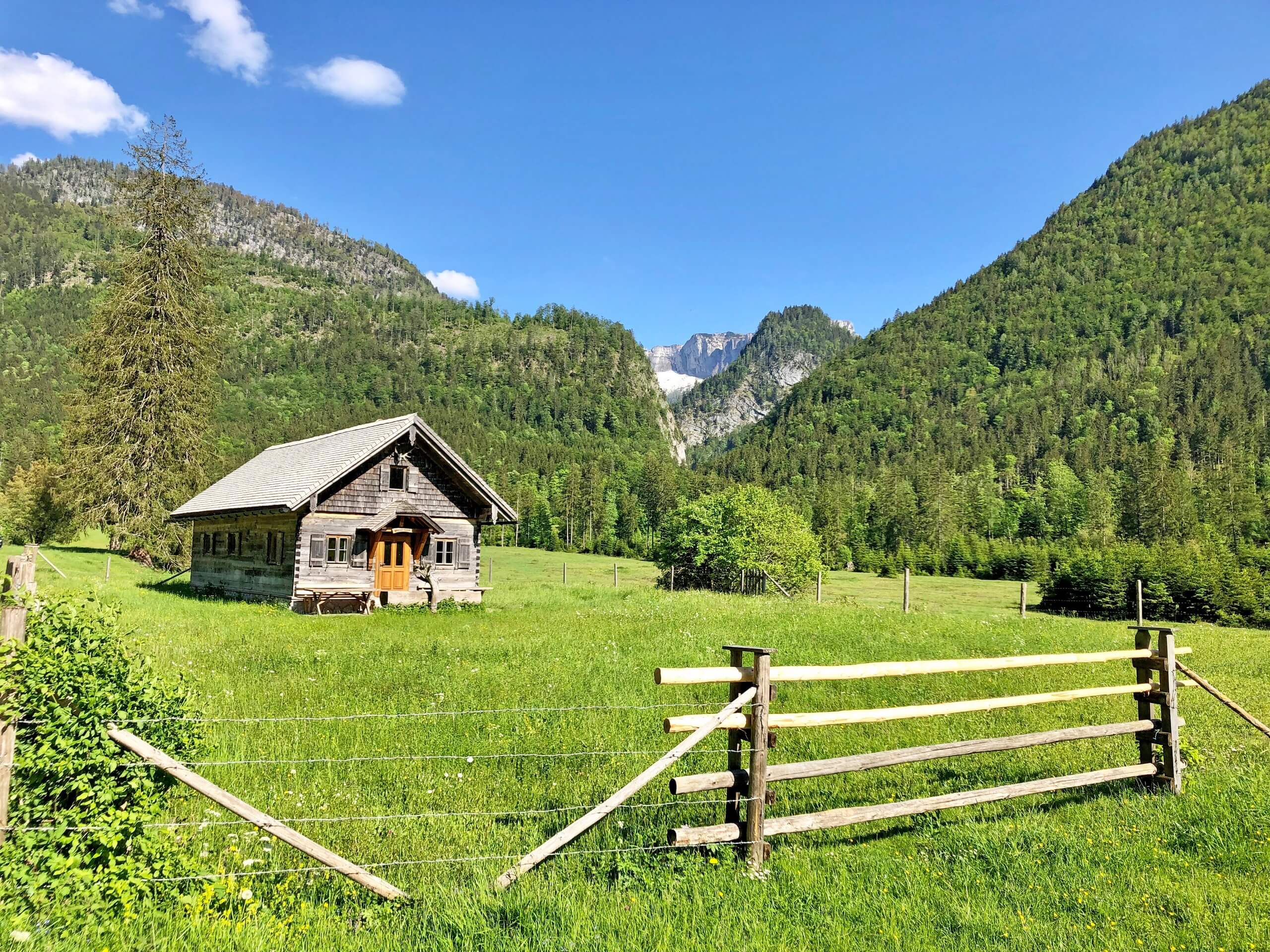 Pastures in Austria