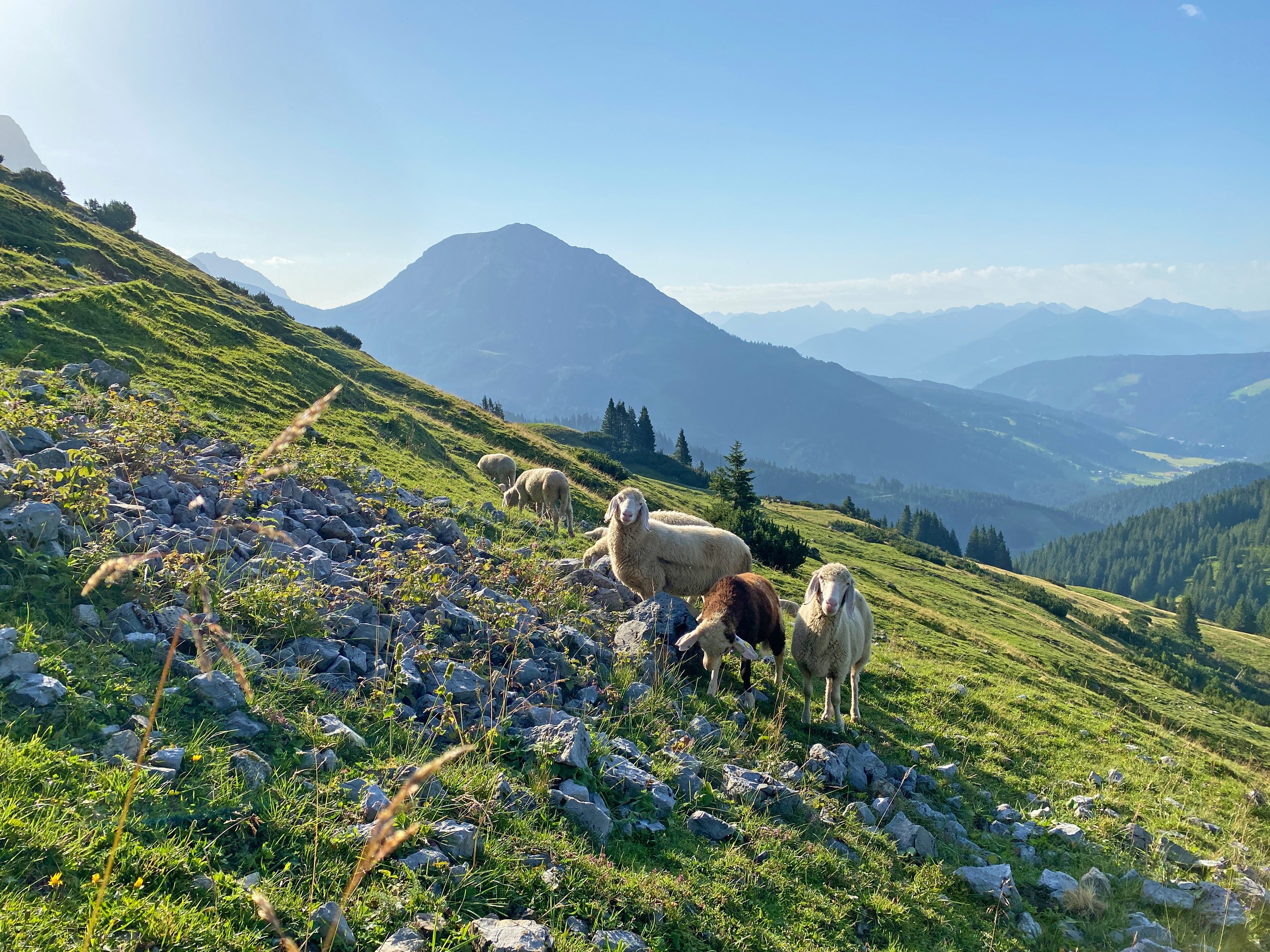 Trekkers walking in Austria