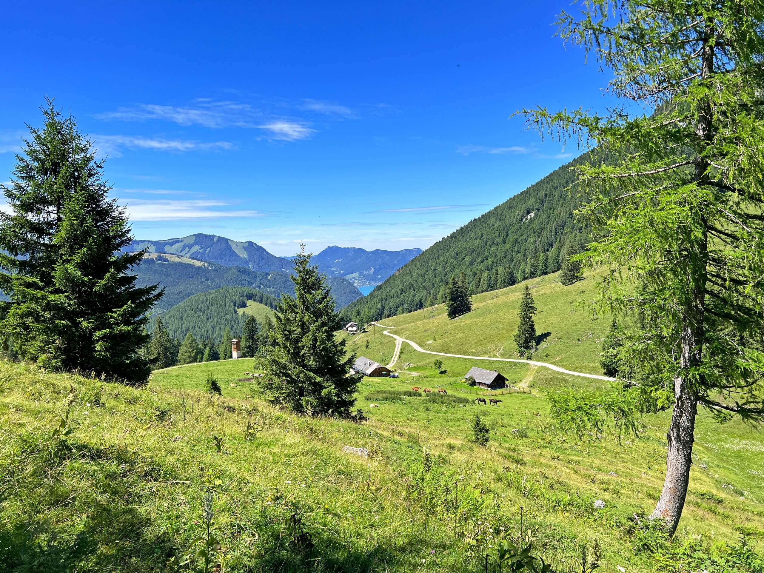 Beautiful meadows in Austria, seen while on ten lakes walking tour