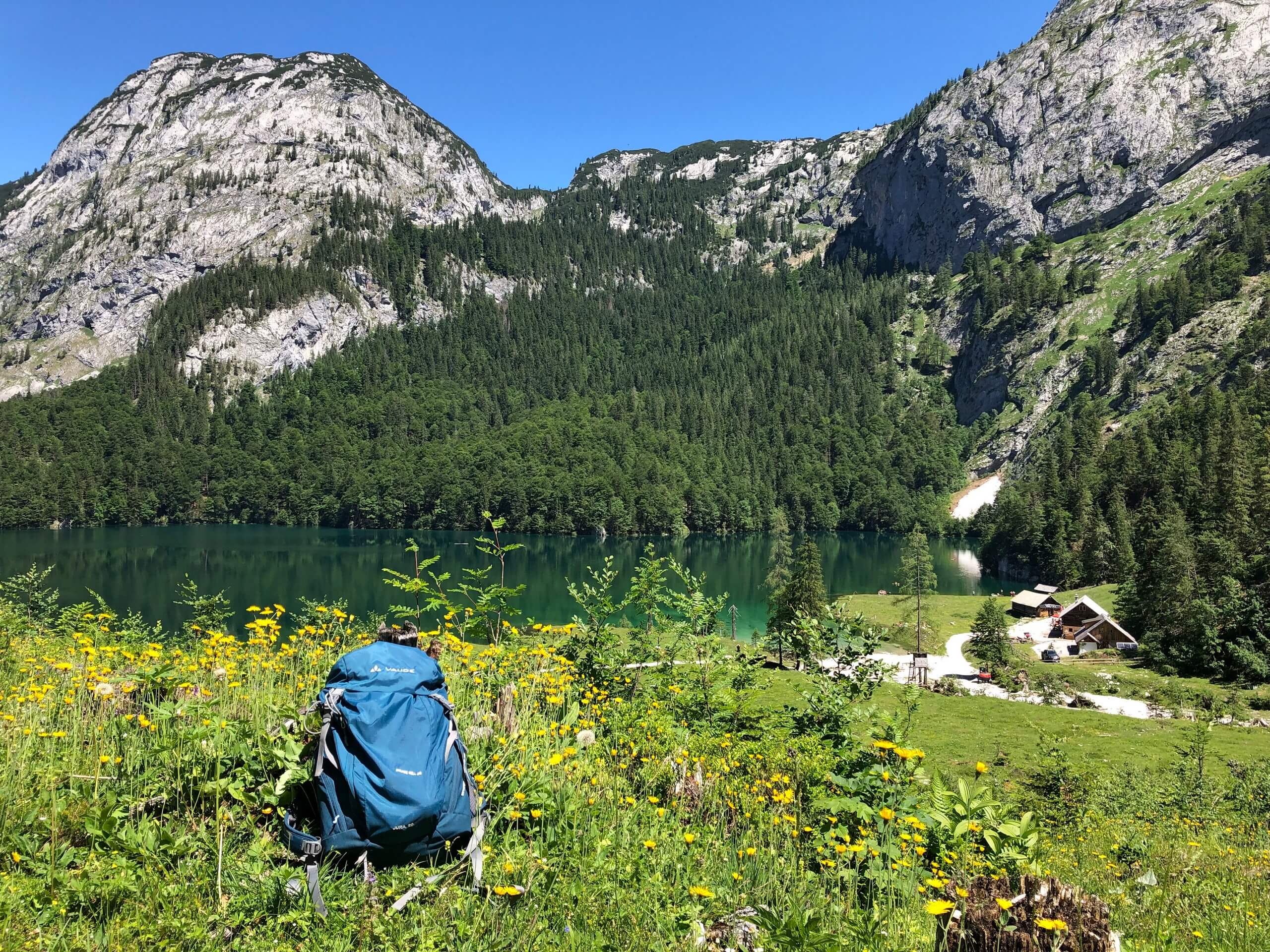 Hiker resting in a beautiful meadow in Austria