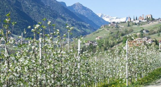 South Tyrol Family Walking Tour