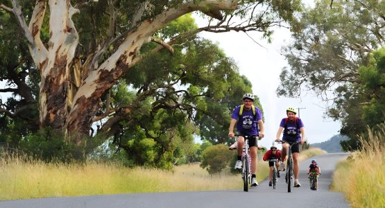 Mudgee Food and Wine Bike Tour