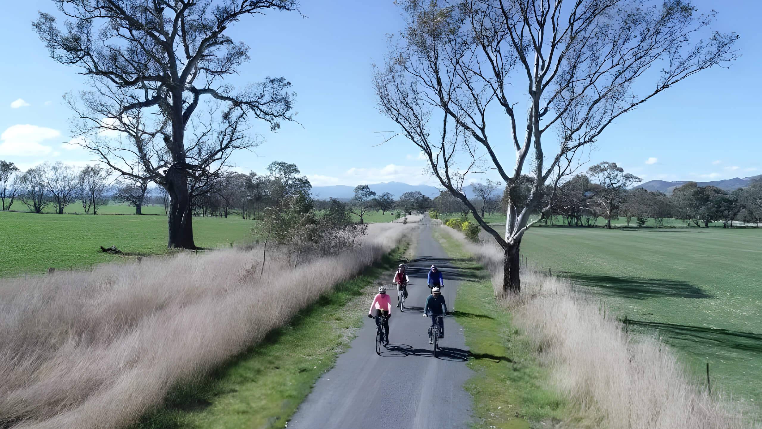 Great Victorian Rail Trail Biking Tour