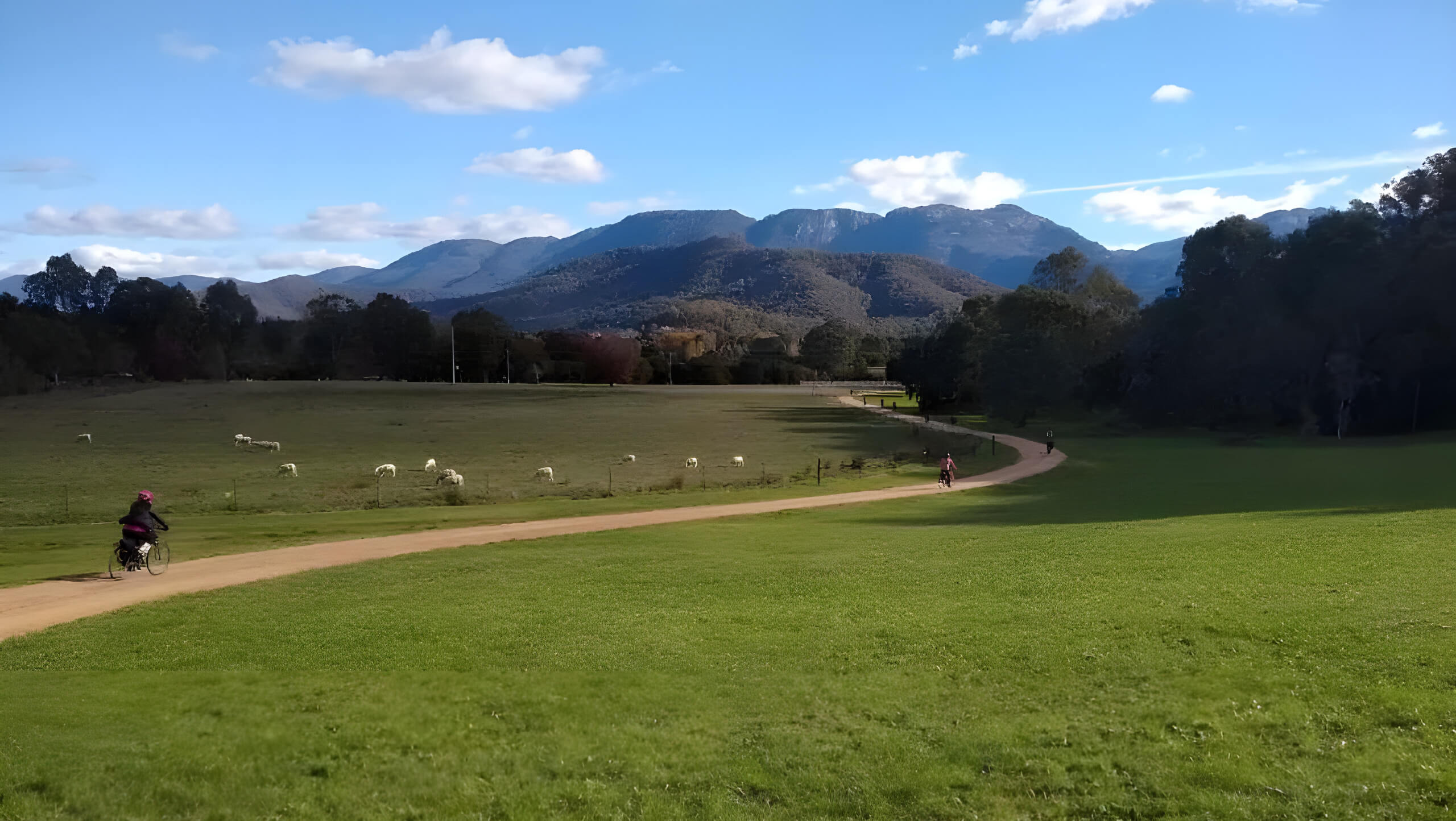 Murray to Mountains Rail Trail Bike Tour