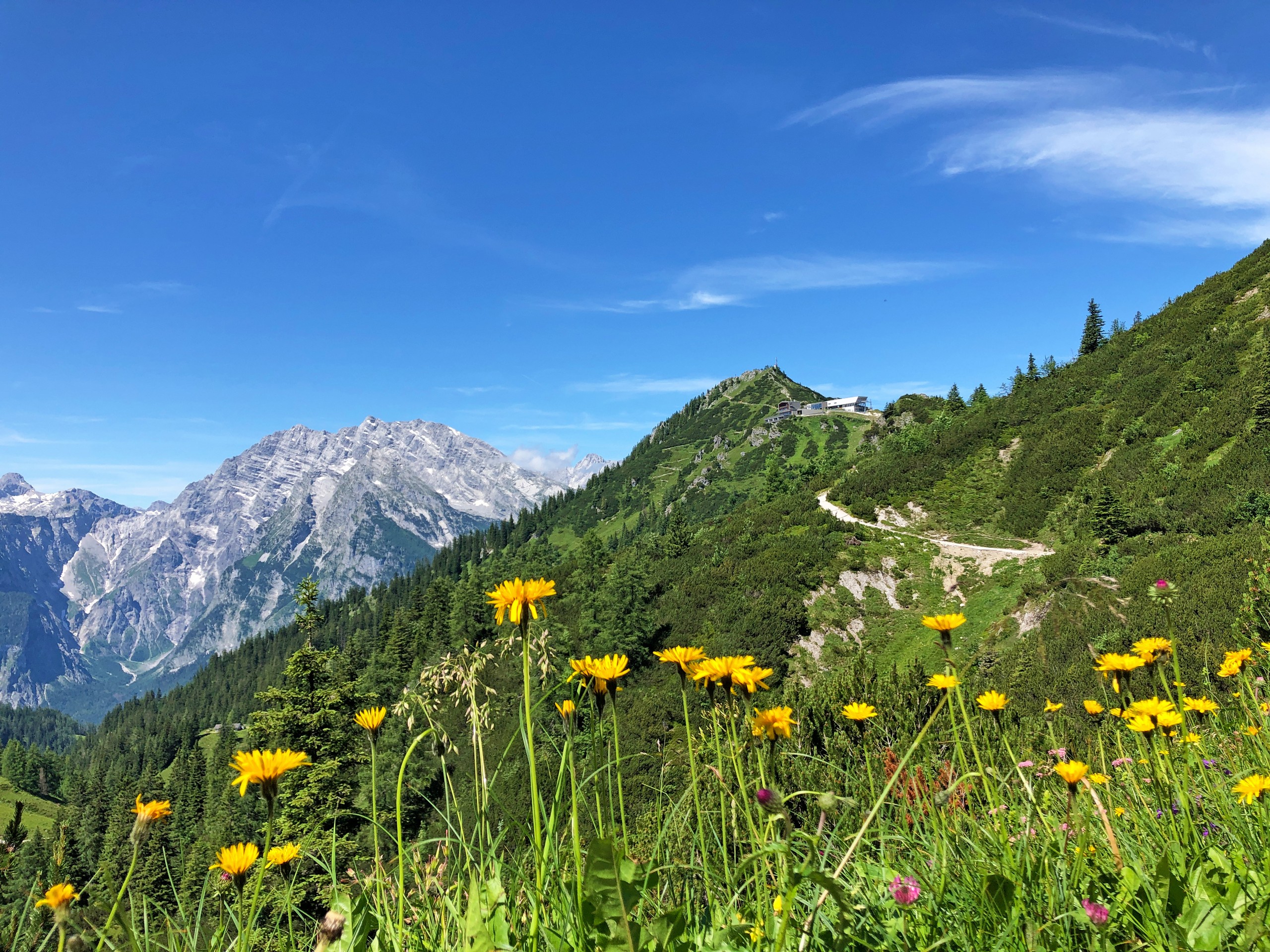 5-eurohike-wanderreisen-salzalpensteig-koenigssee-salzkammergut-blumen