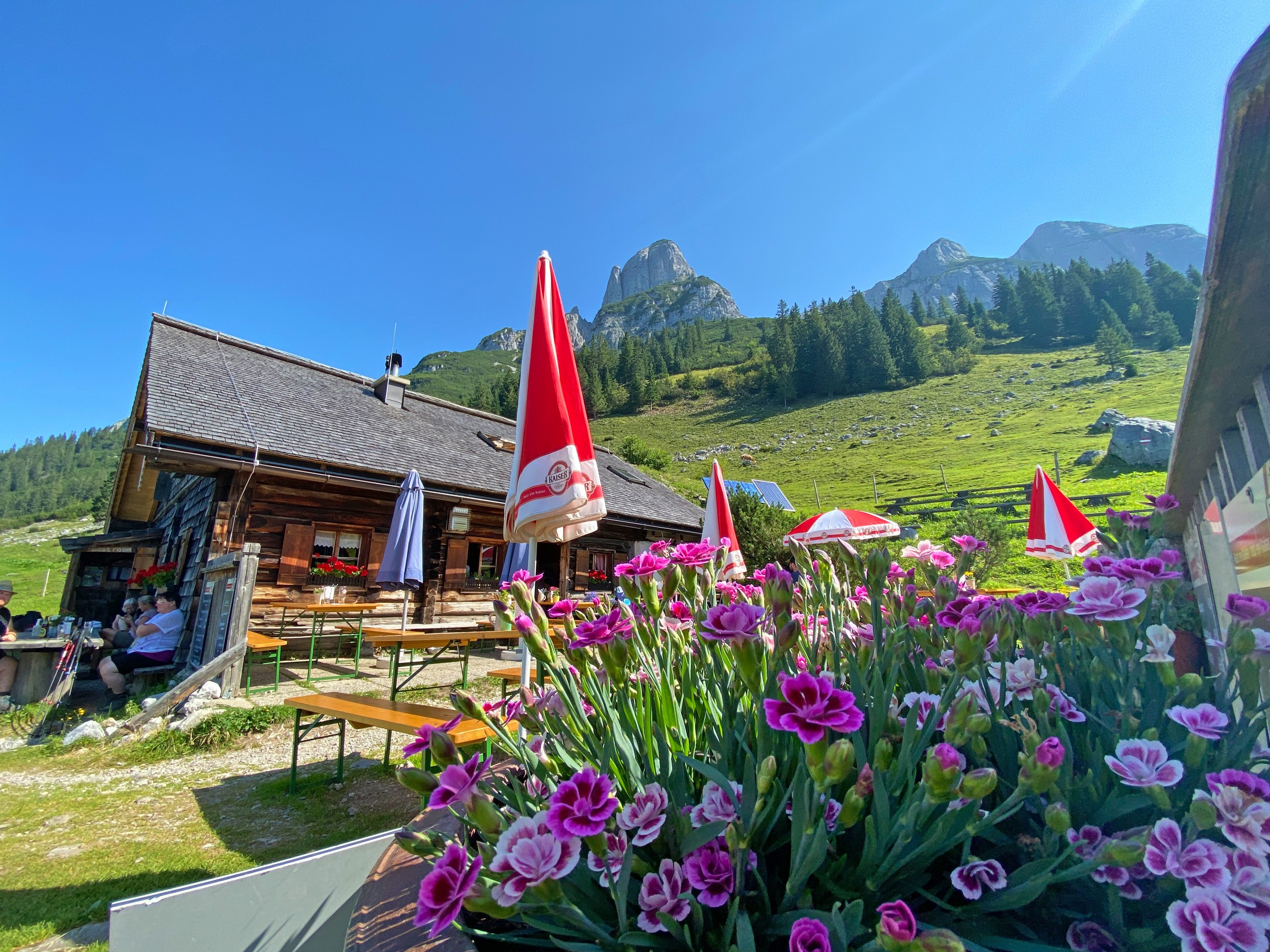 6-eurohike-wanderreisen-salzalpensteig-koenigssee-salzkammergut-blumen-stuhlalm