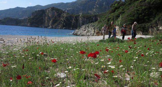 The Beauty of Corfu Tour